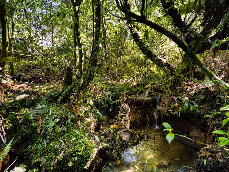 193 Lindemann Road Katikati_10