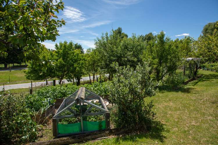 35 Clare Road Alexandra_19