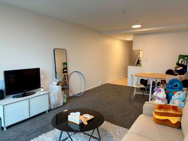 13P/3 Whitaker Place Auckland Central_3