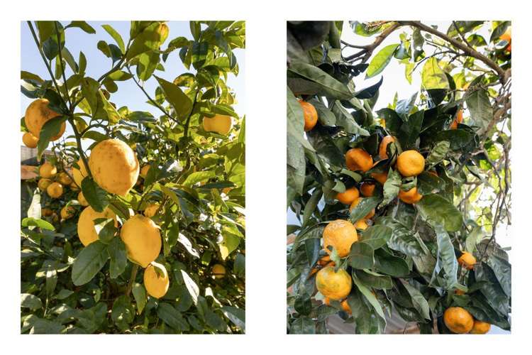 62 Arawa Road Whakatane_25