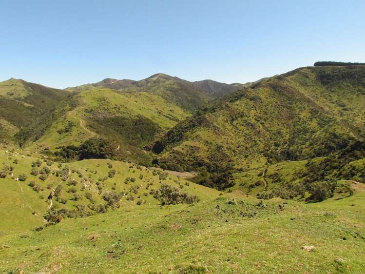 139 Clay Creek Road Ruakokoputuna_18