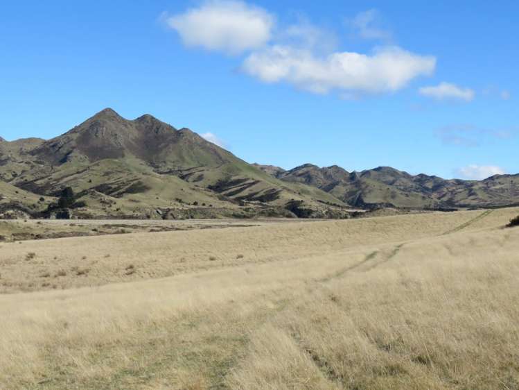 496 Haldons Road Seddon_2