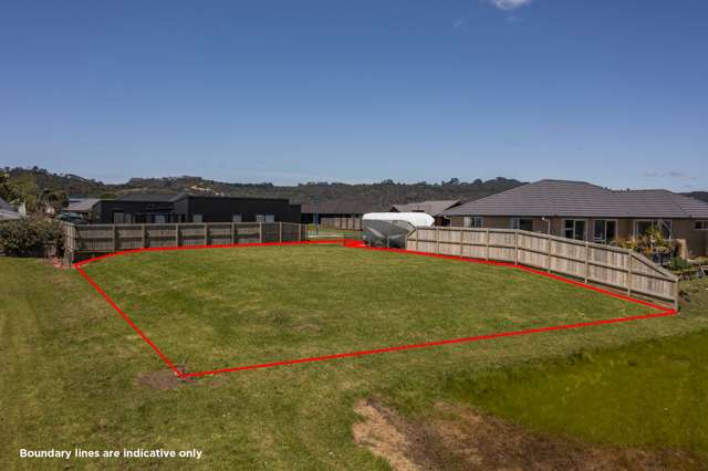 39 Palm Drive Whitianga_3