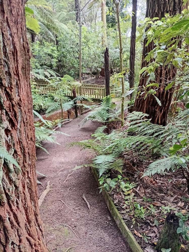 44 Margaret Street Shannon_15