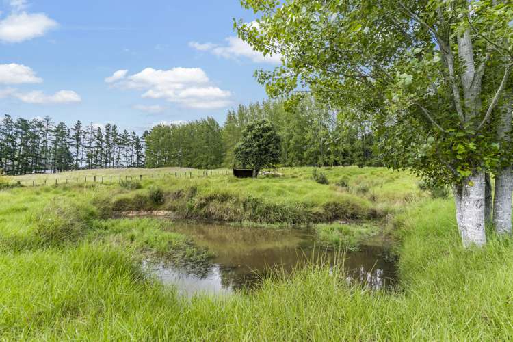 97d Tara Road Mangawhai_17