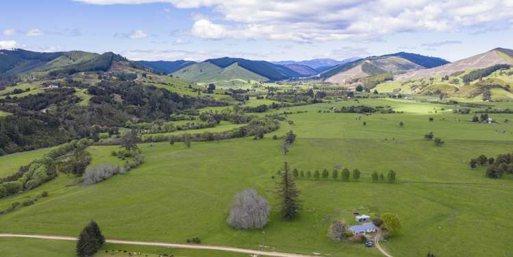 3581 Motueka Valley Highway Kahurangi National Park_12