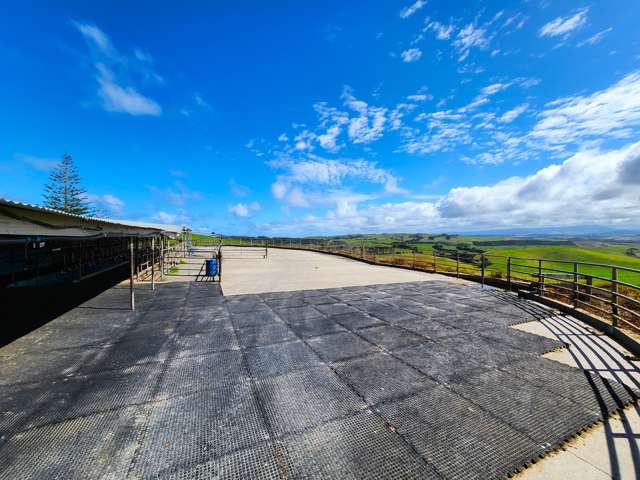 796 Mahuta Road Dargaville Surrounds_1