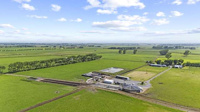 Tokomaru farm - Large scale, fertile dairy unit