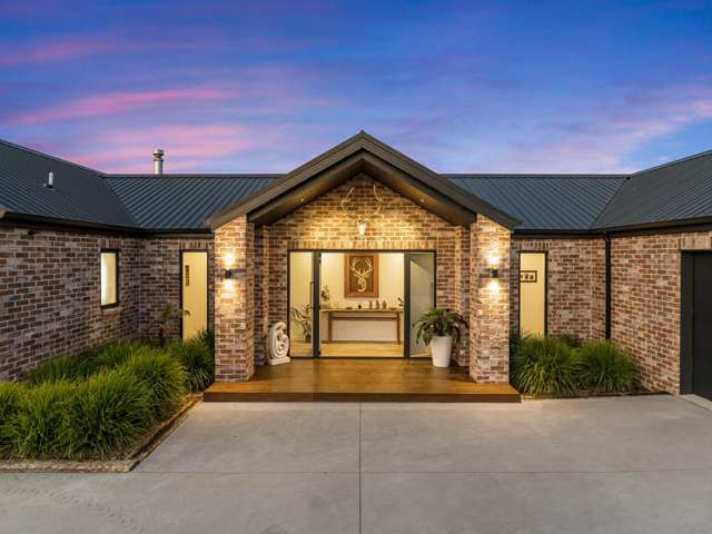 Bold. Architectural. Unforgettable