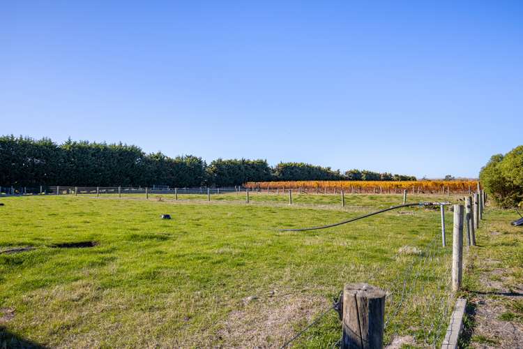 1523 Redwood Pass Road Seddon_13