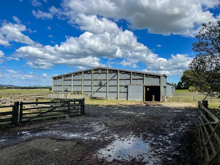 1177 Limehills Browns Road Winton Surrounds_10