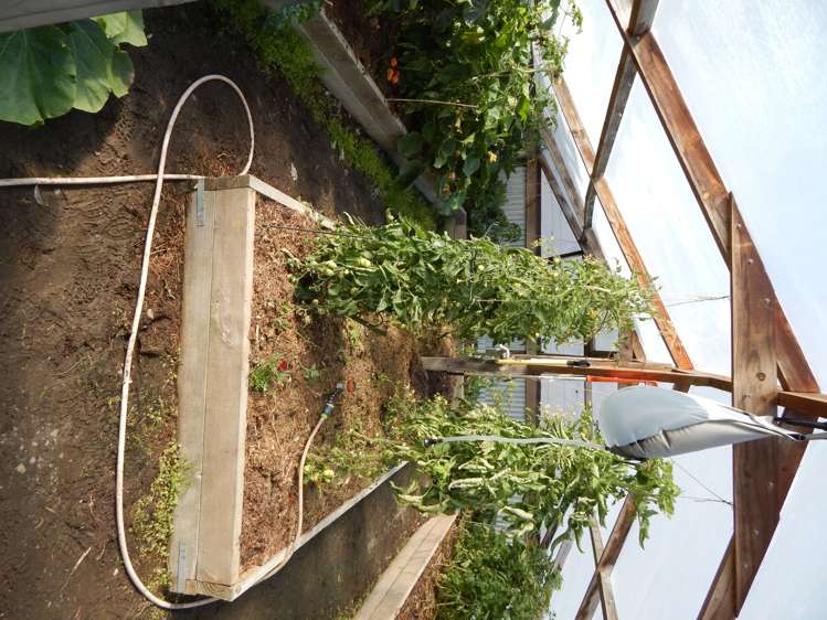 84 Brickfield Road Hokitika_8