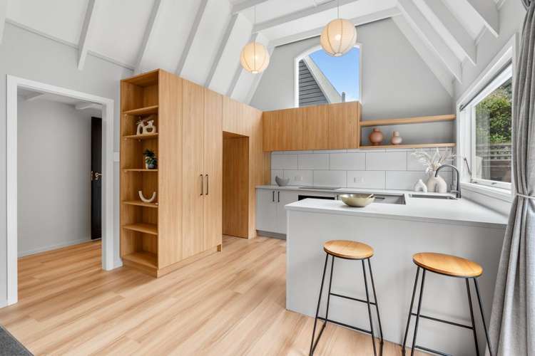 117 Stafford Street Dunedin Central_12