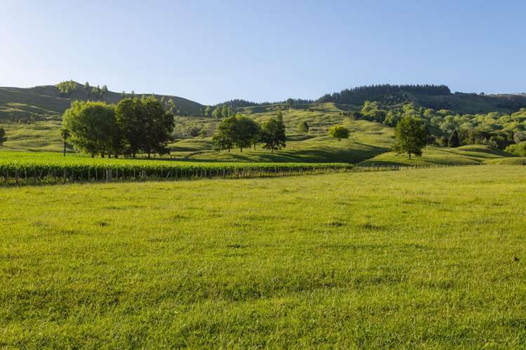 749 Kanakanaia Road Te Karaka_4