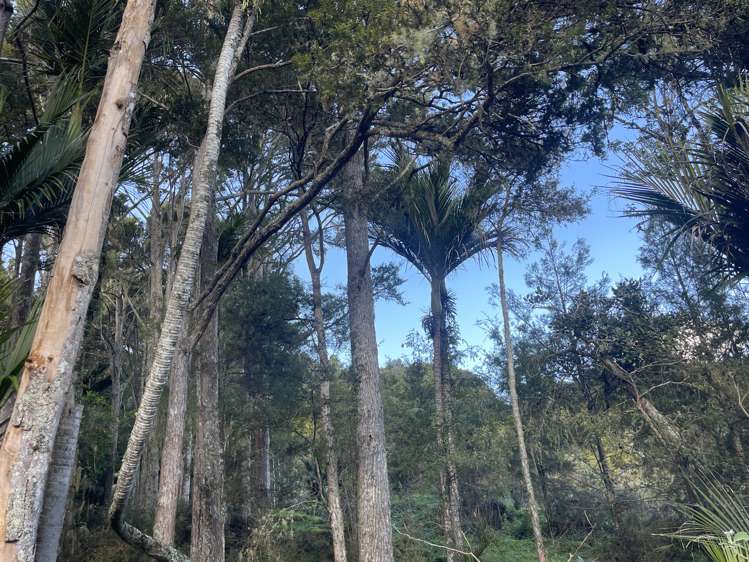 Horeke Road Horeke_11