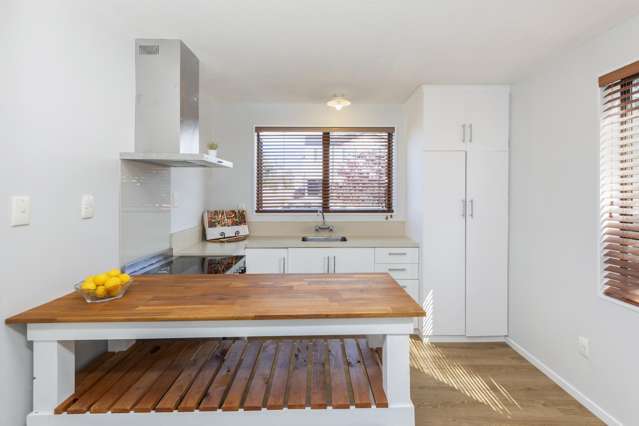 19 Inglis Street Phillipstown_2