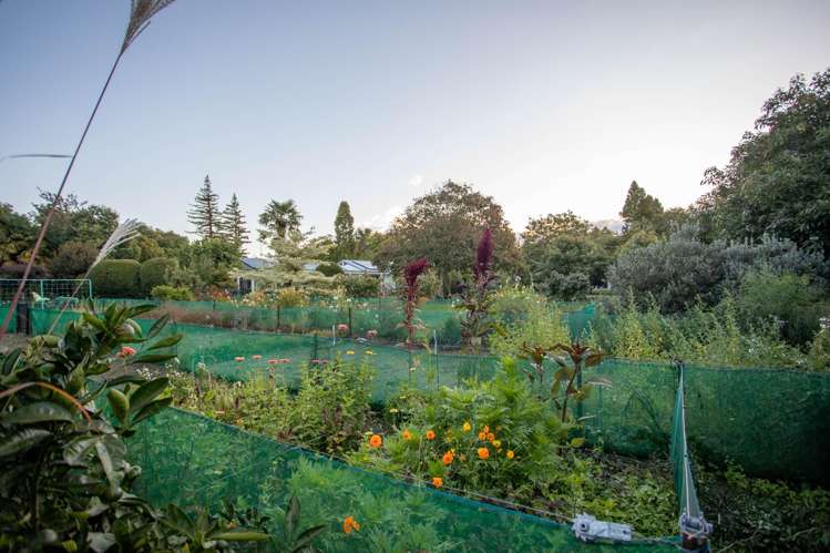 322 Snodgrass Road Te Puna_24