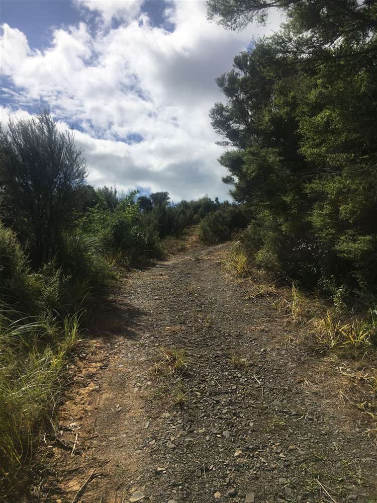 45 Otuturu Crescent Thames_9