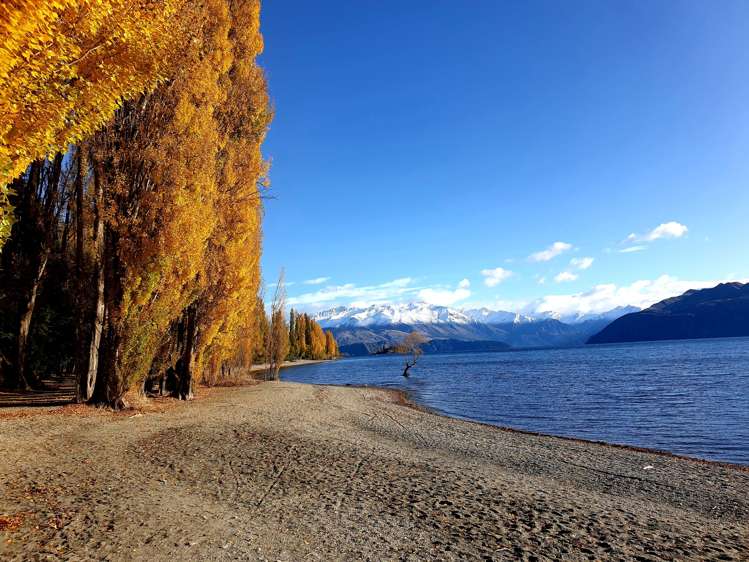 106a Kings Drive Wanaka_23