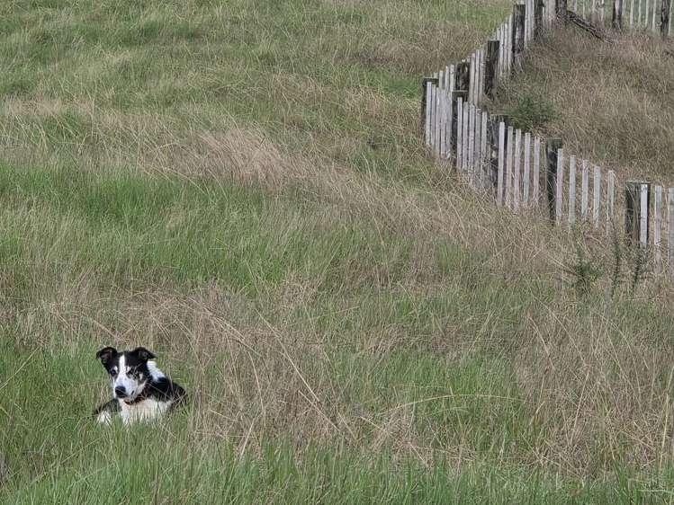 00 Waitaheke Road Ohaeawai_16