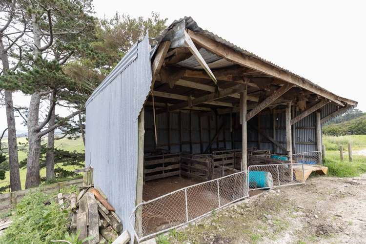 136 Simpkin Road Ruawai_8