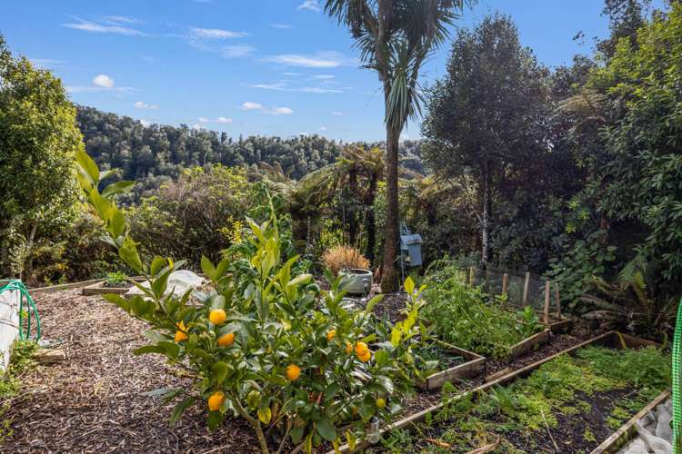 2436 Upper Buller Gorge Westport_13