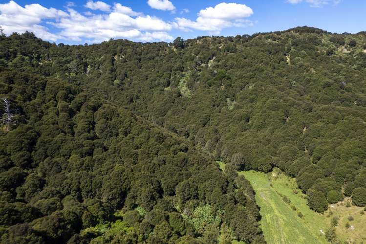 214 Ormond Valley Road Ormond_21