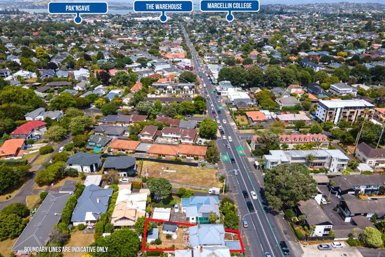 542 Manukau Road Epsom_23