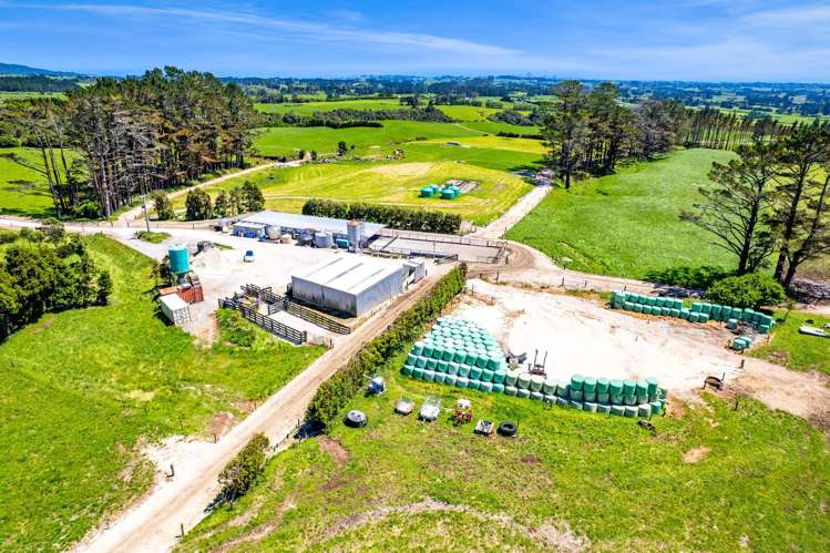 1627 Mangorei Road Korito_19