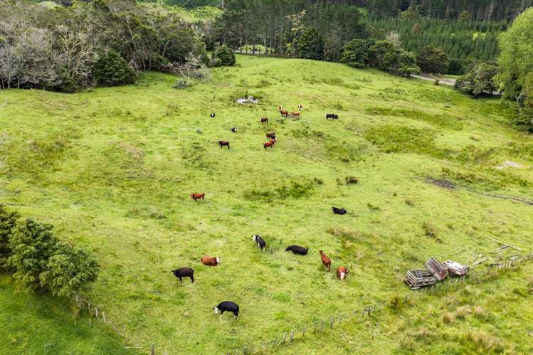 757 Opanake Road Parore Dargaville_53