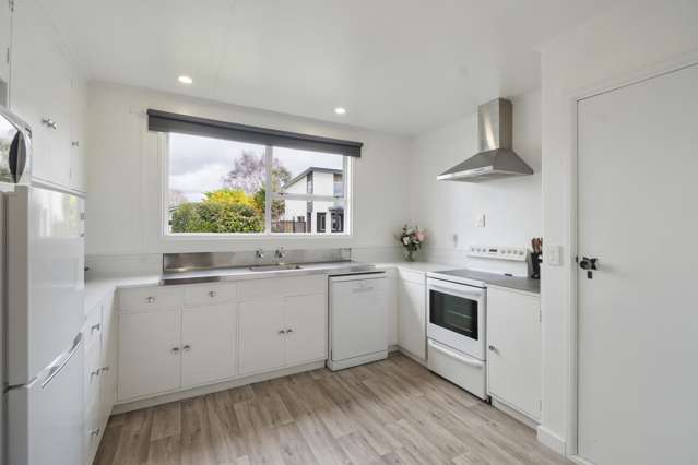 Unit 1-2/3 Tiraumea Street Palmerston North_1