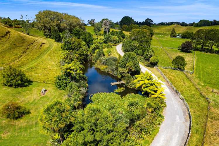 77c Dorset Road Hillsborough_33