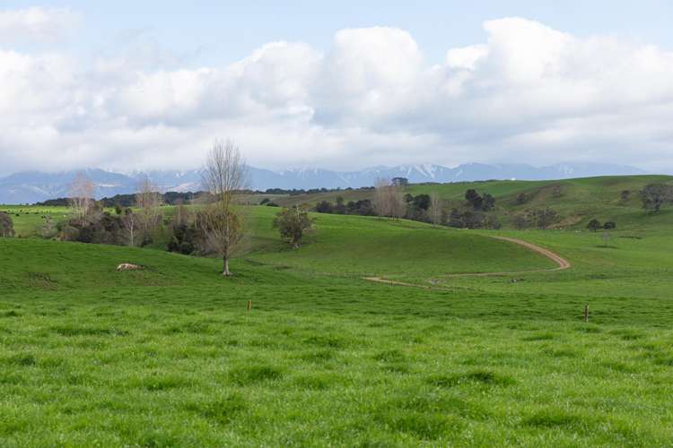 2048 State Highway 50 Ongaonga_13