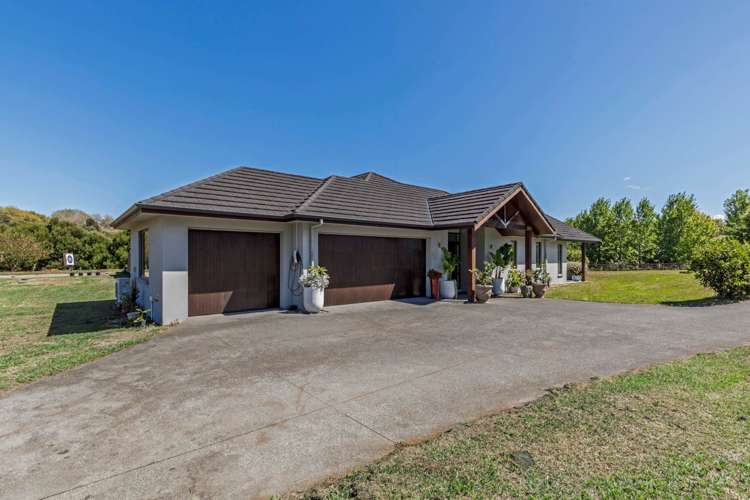 166J Postman Road Dairy Flat_43
