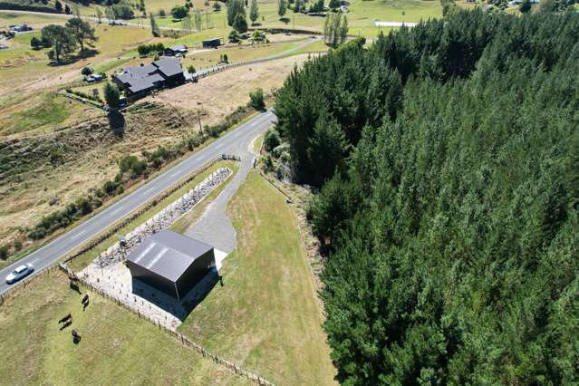 Large Shed + Trees - Must be sold!