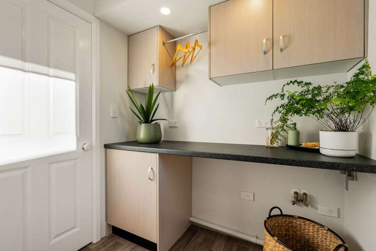 97 Elizabeth Street Mount Victoria_17