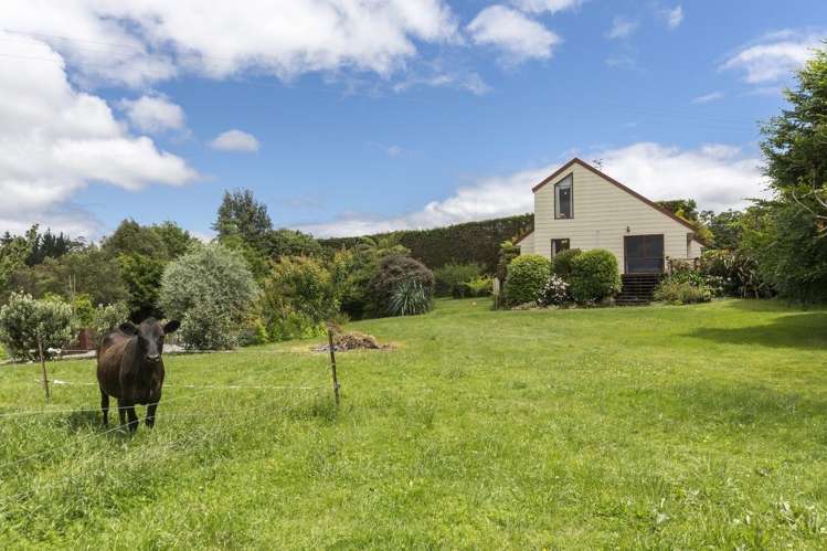 263a Ruahihi Road Kaimai_20