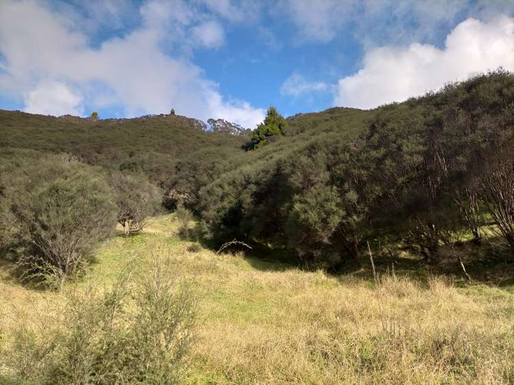 60 Tongaporutu-Ohura Road Ahititi_3