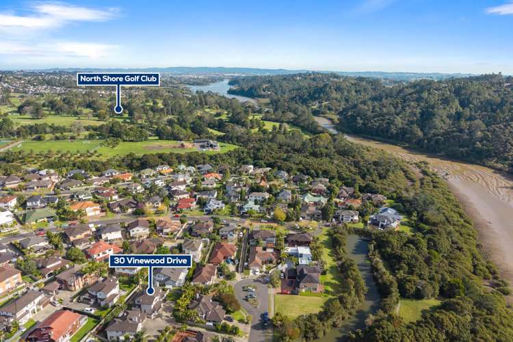 30 Vinewood Drive Albany_18