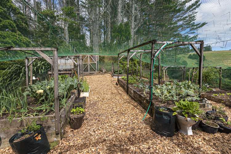 114 Hay Road Hukerenui and Surrounds_23