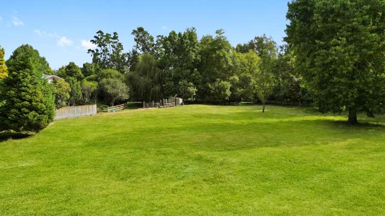 41 Poplar Lane Matangi_23