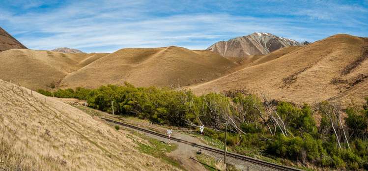 Telegraph Road Darfield_19