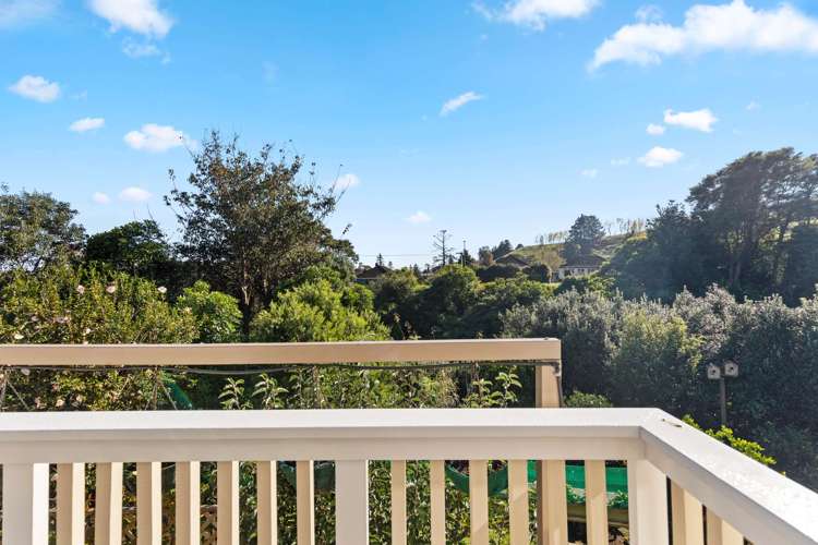 29 Keepa Avenue Paeroa_14