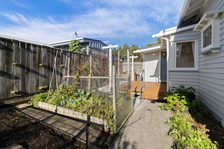 297 The Parade Island Bay_10