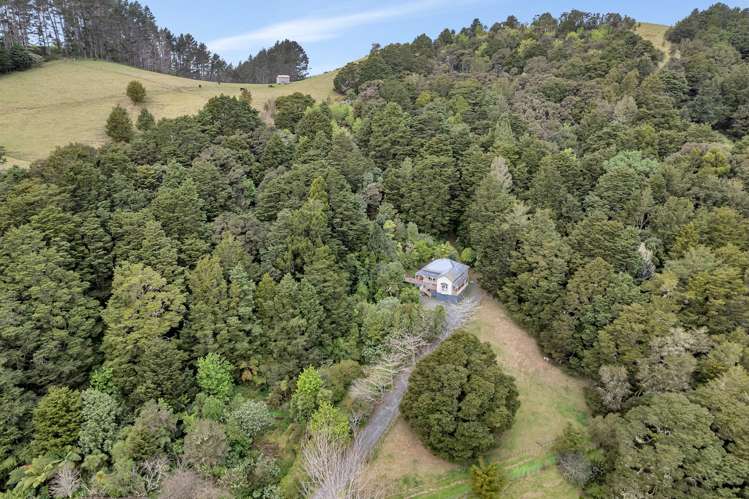 197 Whau Valley Road Whau Valley_27