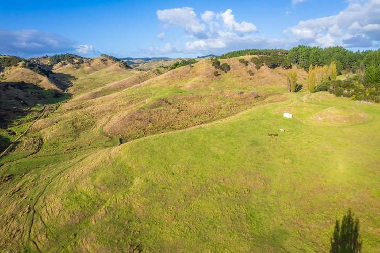 Kawhia Road (SH 31) Kawhia_17