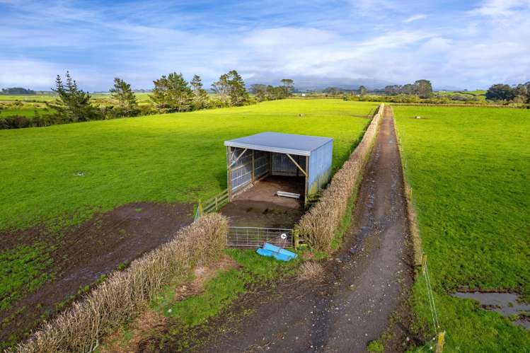 299 Cardiff Road Cardiff_6