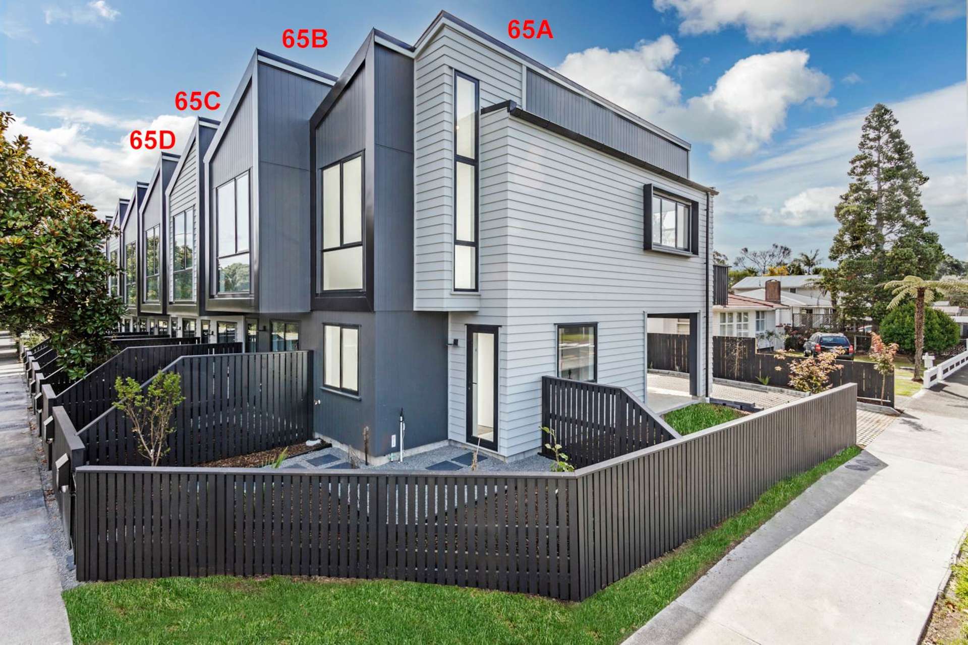 65a Ash Street Avondale_0