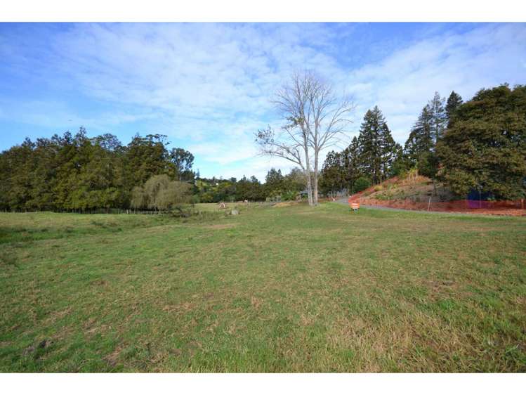 11 Mandeno Drive Kerikeri_0