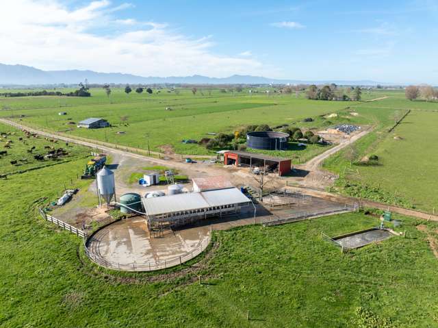 497 No. 7 Road Morrinsville_1